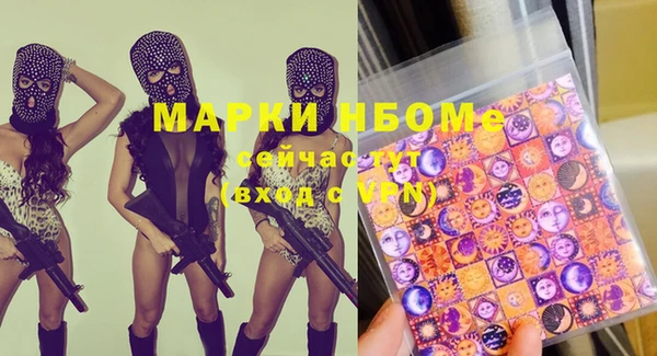 гашик Алексин