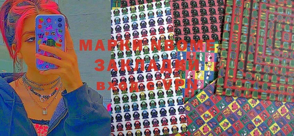 гашик Алексин