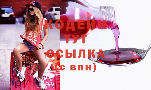гашик Алексин