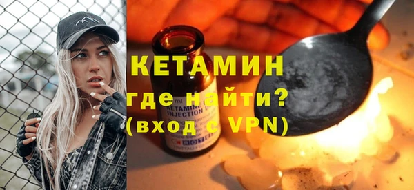 гашик Алексин