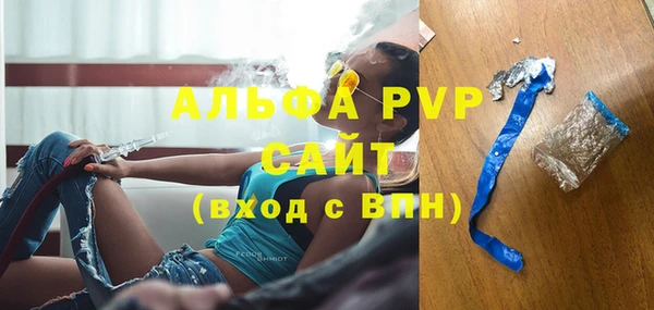 гашик Алексин