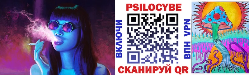 Галлюциногенные грибы Psilocybine cubensis  Дудинка 